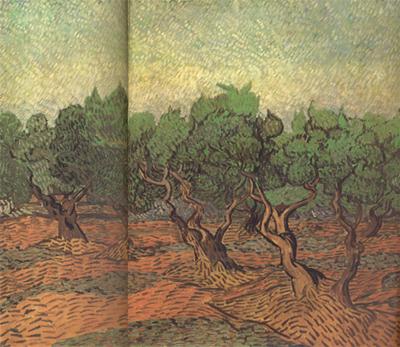 Vincent Van Gogh Olive Grove (nn04) oil painting image
